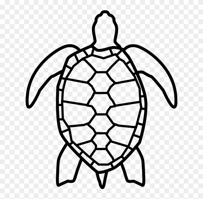 Florida Keys Green Sea Turtle - Loggerhead Sea Turtle Clipart #2951738