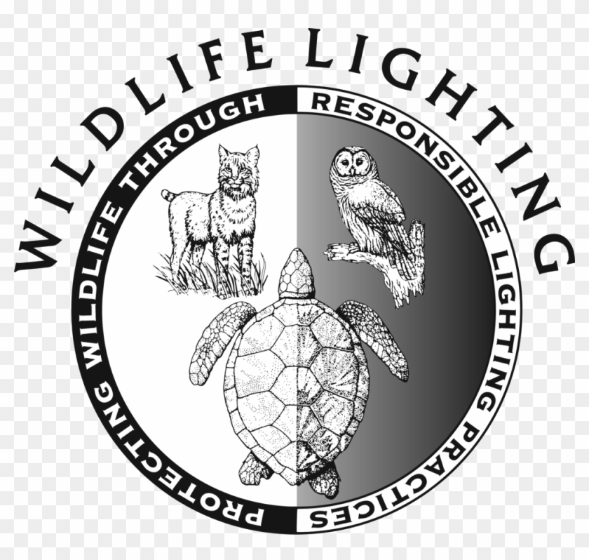 Wildlife Clipart #2951822