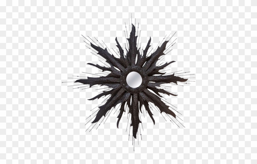 Circle Clipart #2952038