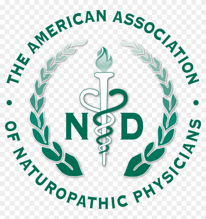Aanplogo Transparentback - American Association Of Naturopathic Physicians Clipart #2952507
