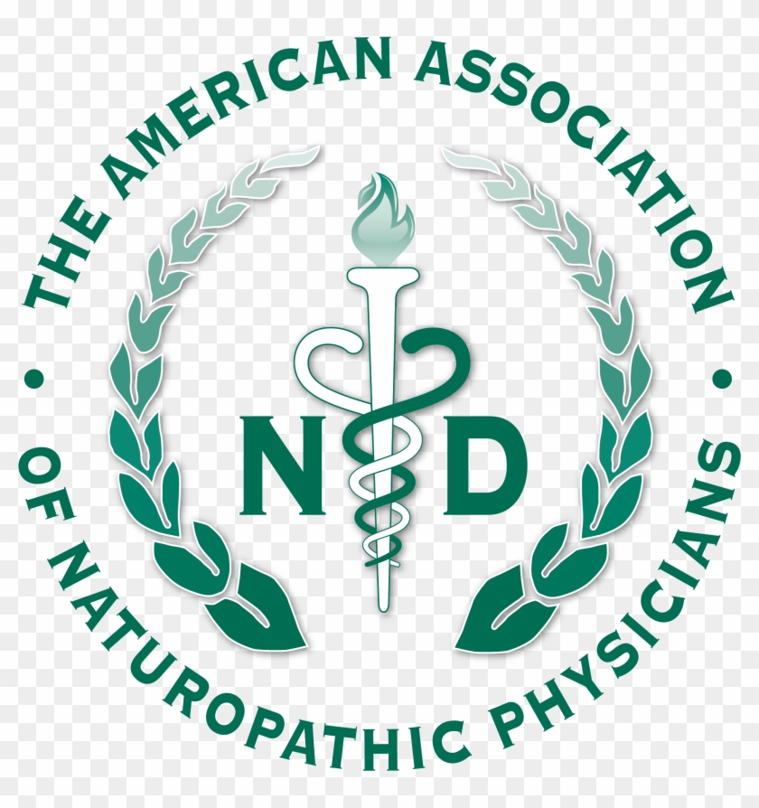 Aanplogo Transparentback - American Association Of Naturopathic Physicians Clipart