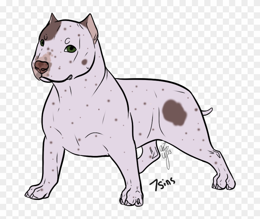 Photo Pitbull - Bull And Terrier Clipart #2953035