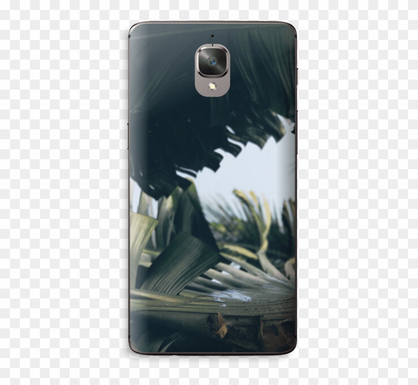 Tropical Leaves Skin Oneplus - Smartphone Clipart #2954044
