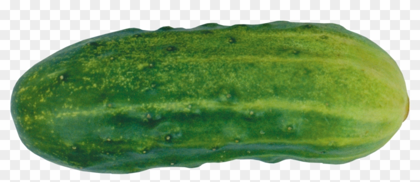 Cucumber Png - Огурец Png Clipart #2954472