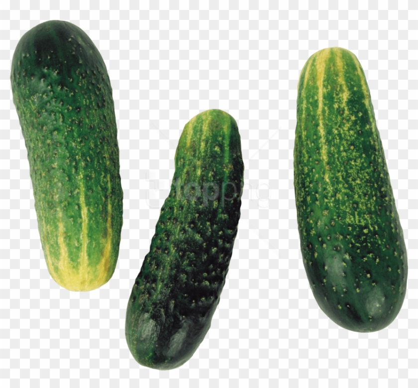 Free Png Images - Огурец На Прозрачном Фоне Clipart