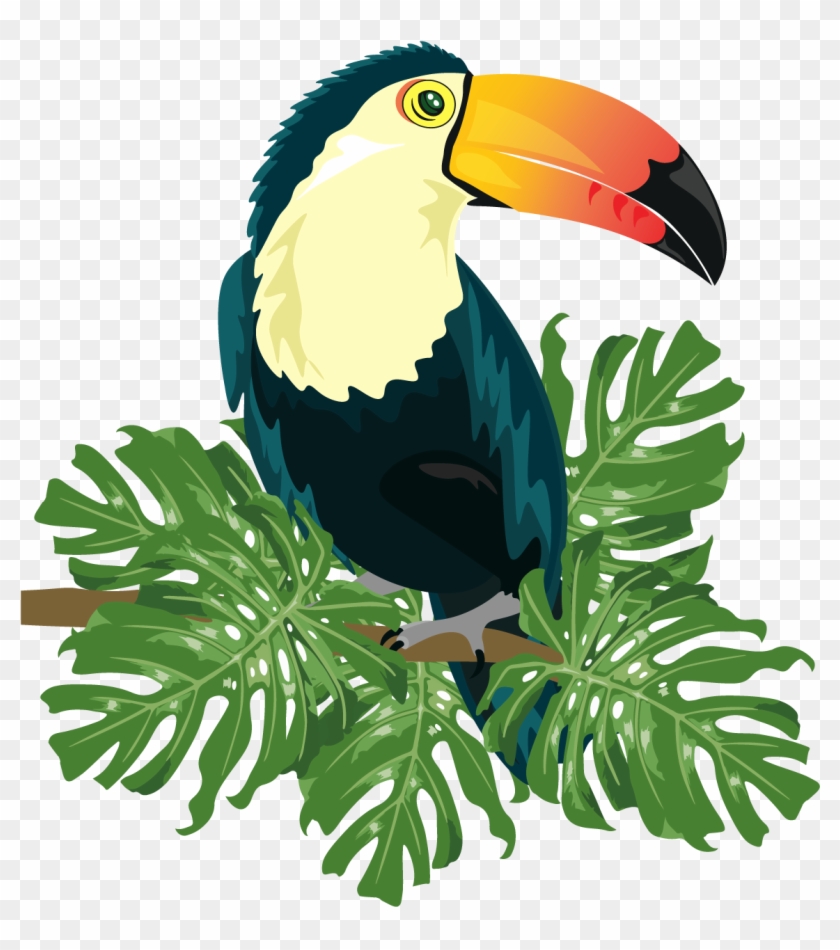 Ramphastinae Bird Ramphastos Illustration - Tropical Bird Vector Png Clipart #2954616