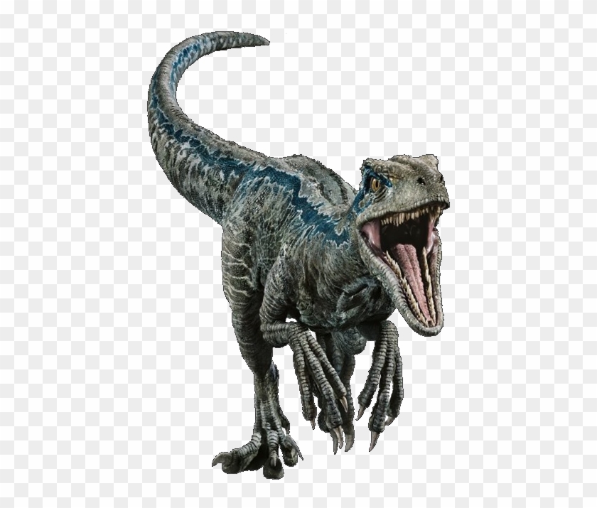 Blue The Velociraptor V2 By Sonichedgehog2 - Jurassic World Velociraptor Clipart