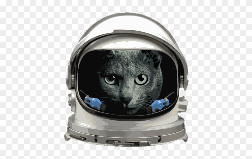 #space #helmet #cat #spacecat - Astronaut Clipart