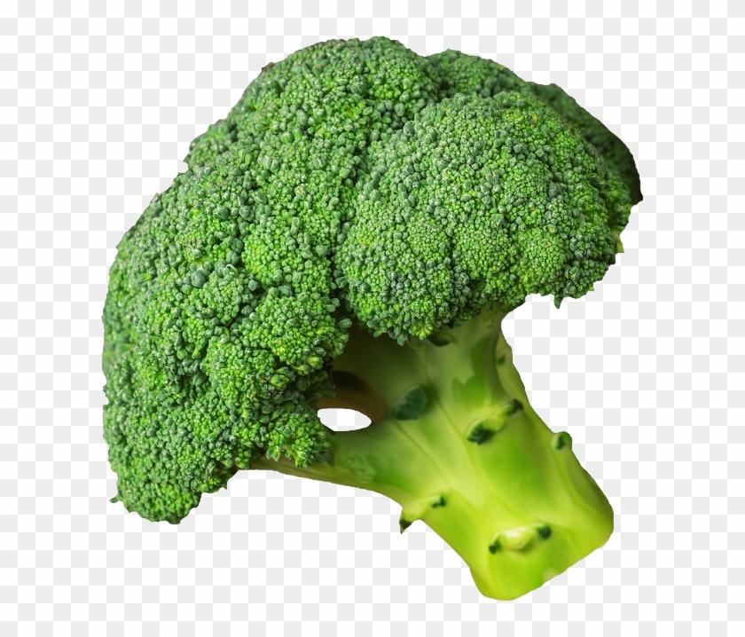 قرنبيط Clipart #2955831
