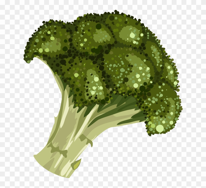 Broccoli Png Cartoon Clipart@pikpng.com