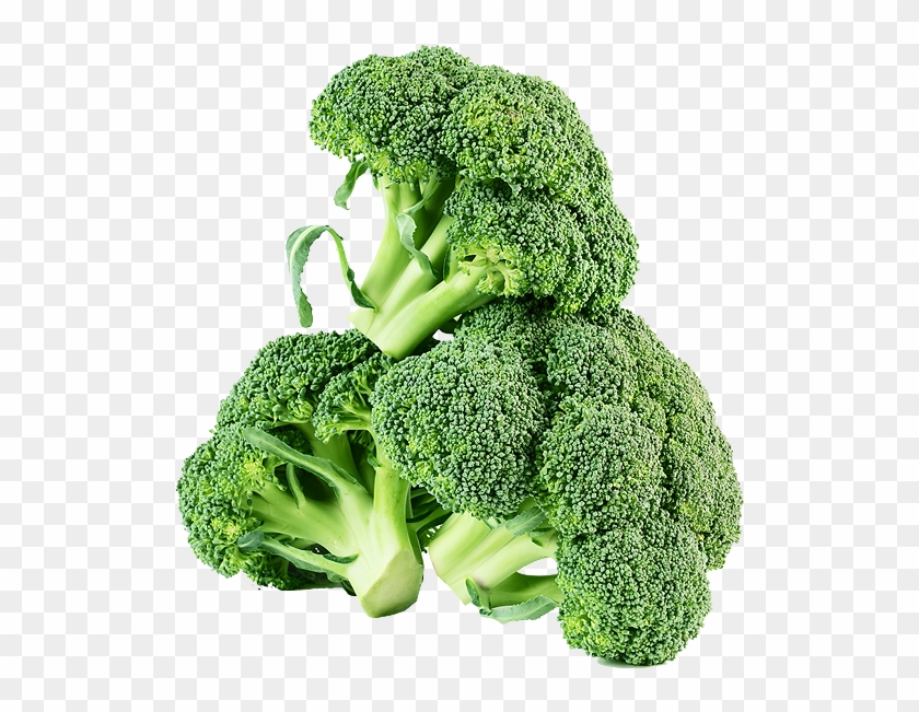 Broccoli Clipart #2955997