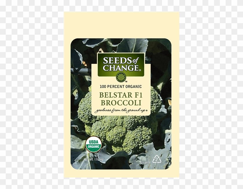 Organic Belstar F-1 Broccoli Seeds - Seeds Of Change Clipart #2956119