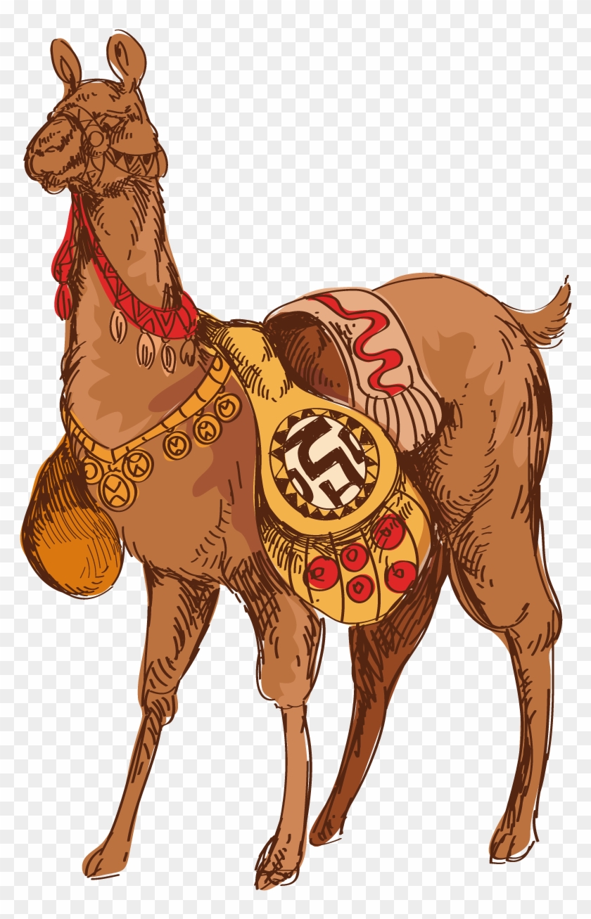 Drawn Llama Guanaco - Guanacos Animados Clipart