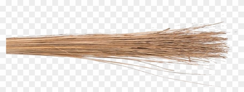 Coconut Broom Transparent Images - Plywood Clipart