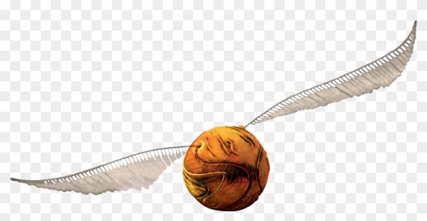 What Shoul Be Your Harry Potter Broom - Harry Potter Snitch Png Clipart