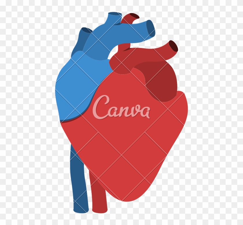 Human Heart Anatomy Isolated Icon Design - Canva Clipart #2957077
