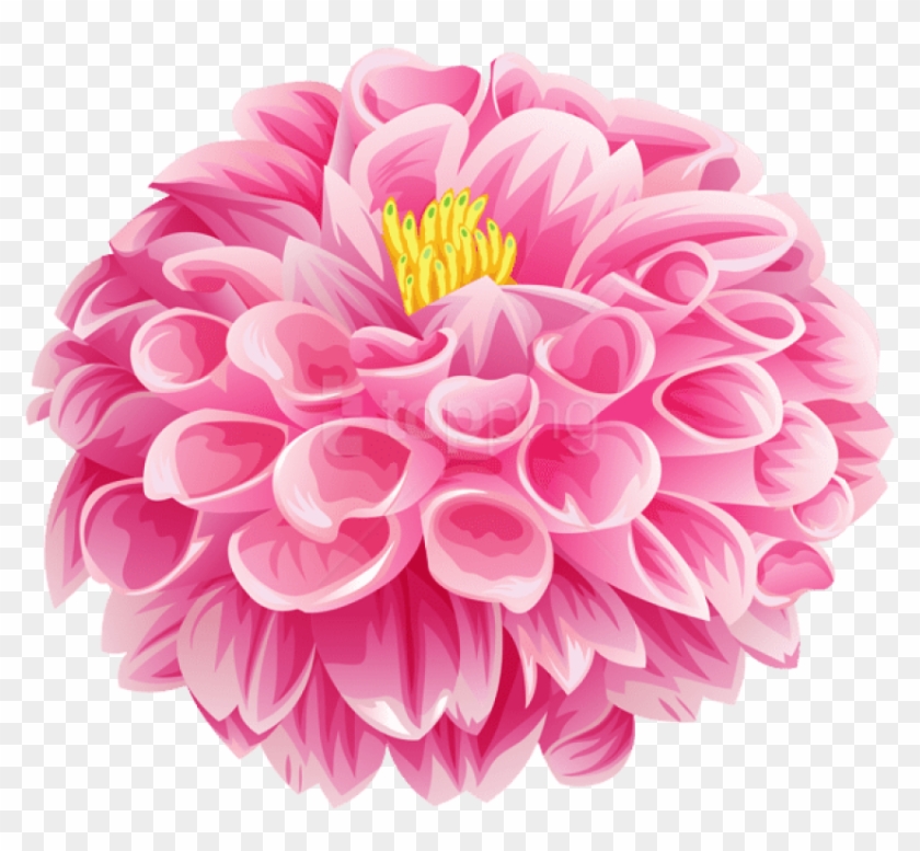 Free Png Download Pink Dahlia Flower Png Images Background - Common Zinnia Clipart