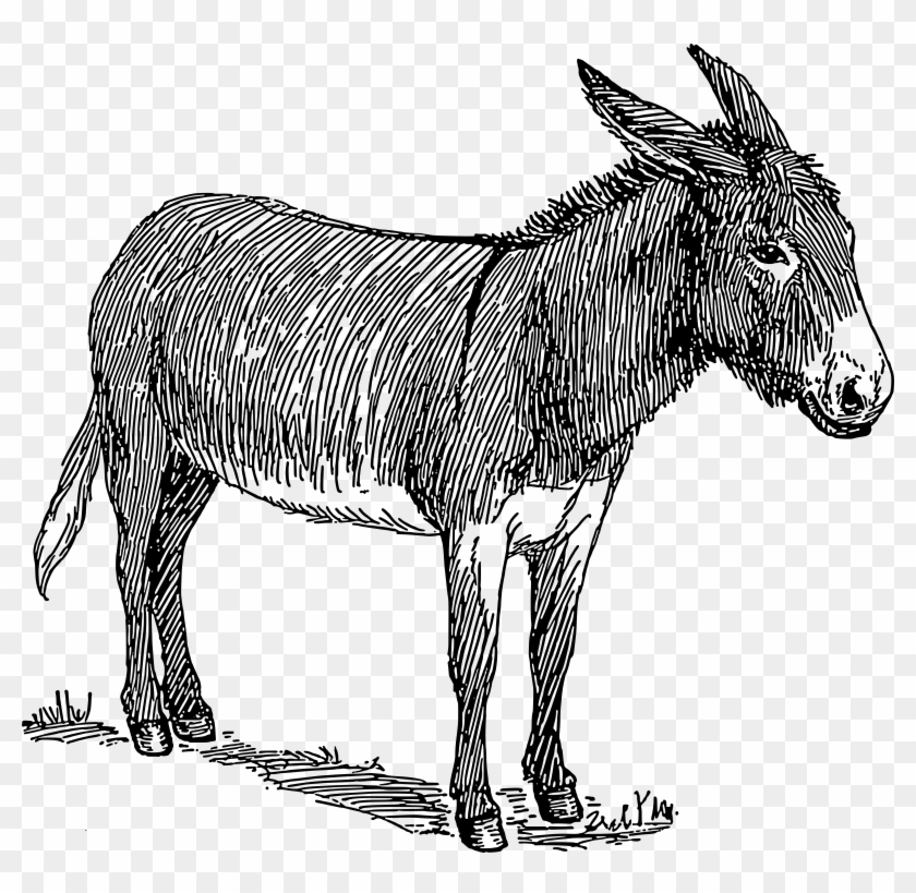 Donkey Png - Donkey With A Hole Clipart #2960422