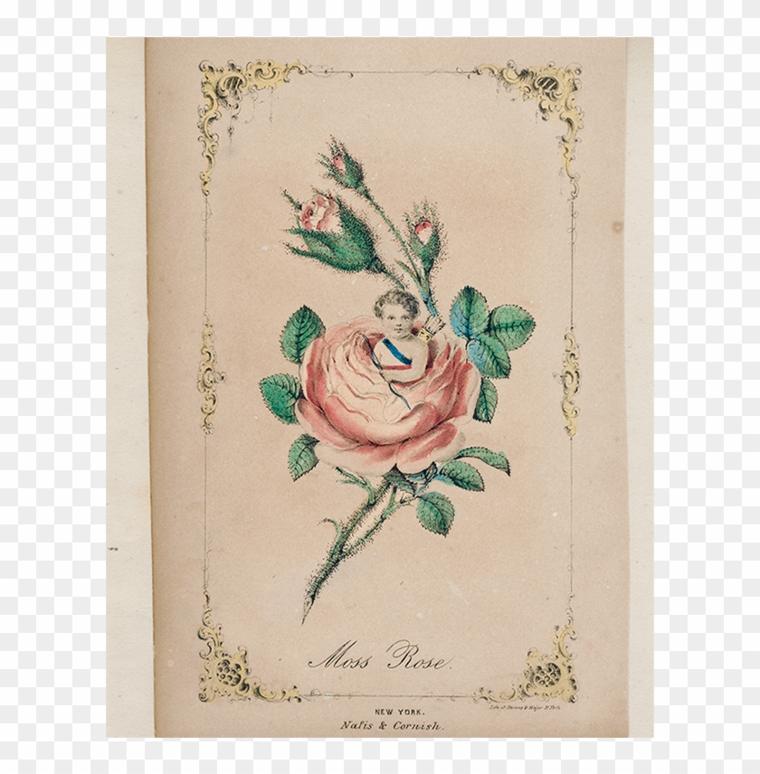 Motif Clipart #2961030