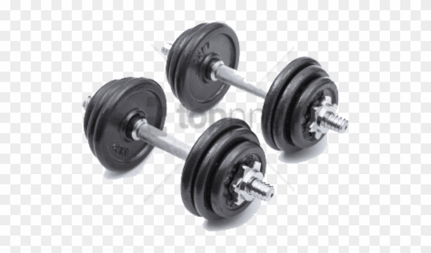 Free Png Dumbbell Png Png Image With Transparent Background - Dumbbell Clipart #2961110