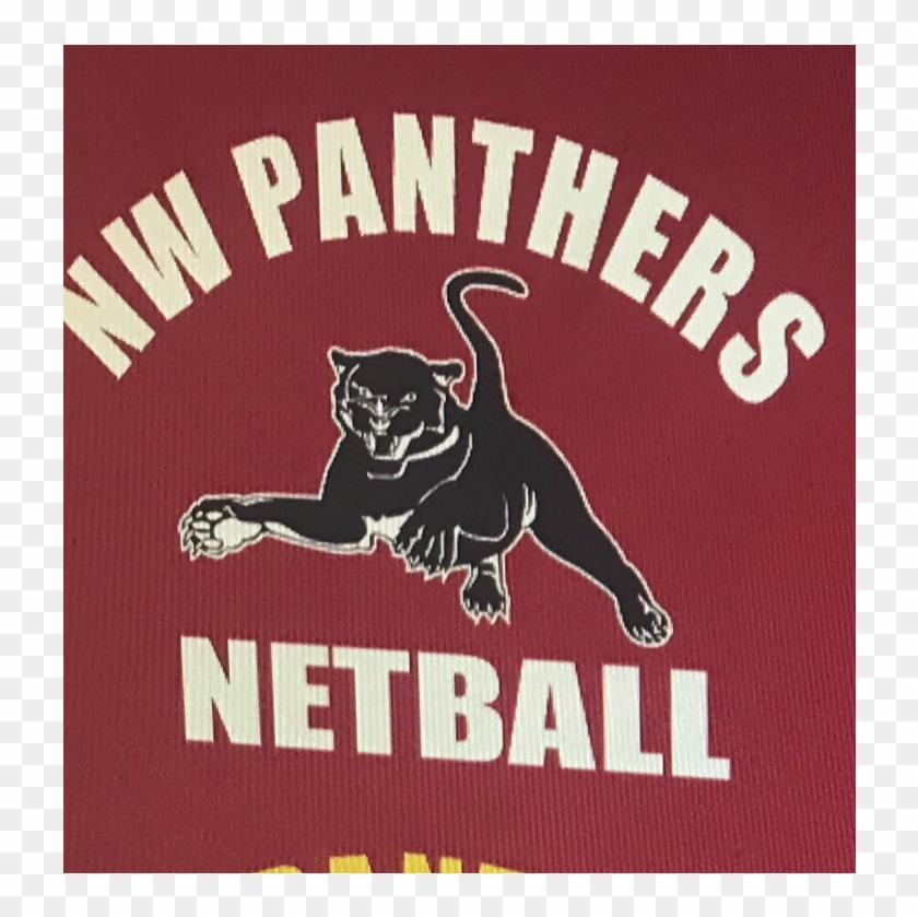 Nw Panthers Netball Club - Poster Clipart #2961942