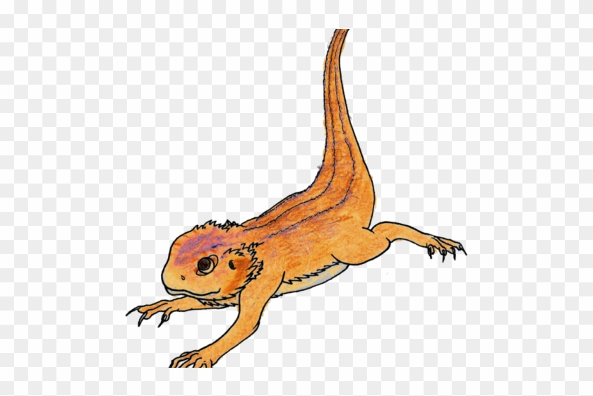 Bearded Dragon Clipart High Resolution - Lizard - Png Download #2962777