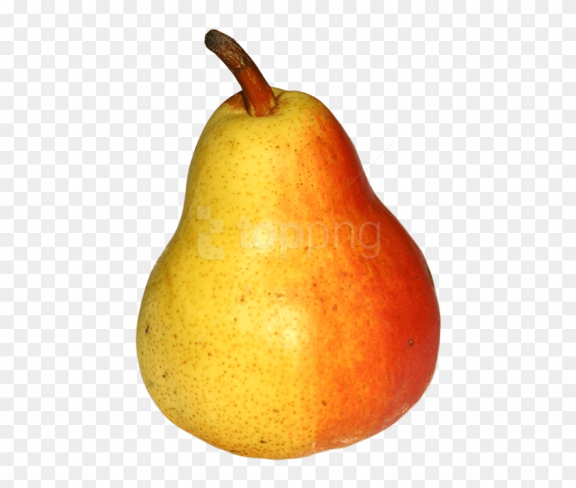 Free Png Pear Png - Asian Pear Clipart