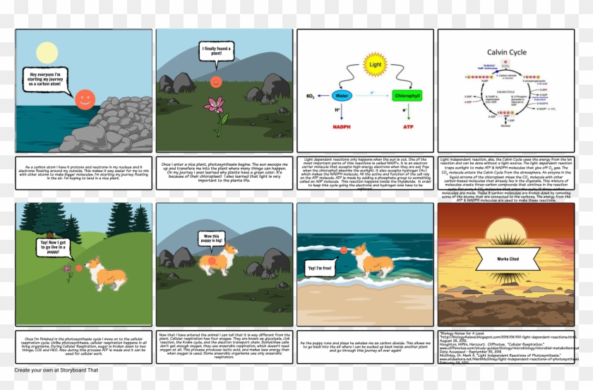 Journey Of A Carbon Atom - Photosynthesis Calvin Cycle Clipart #2965339