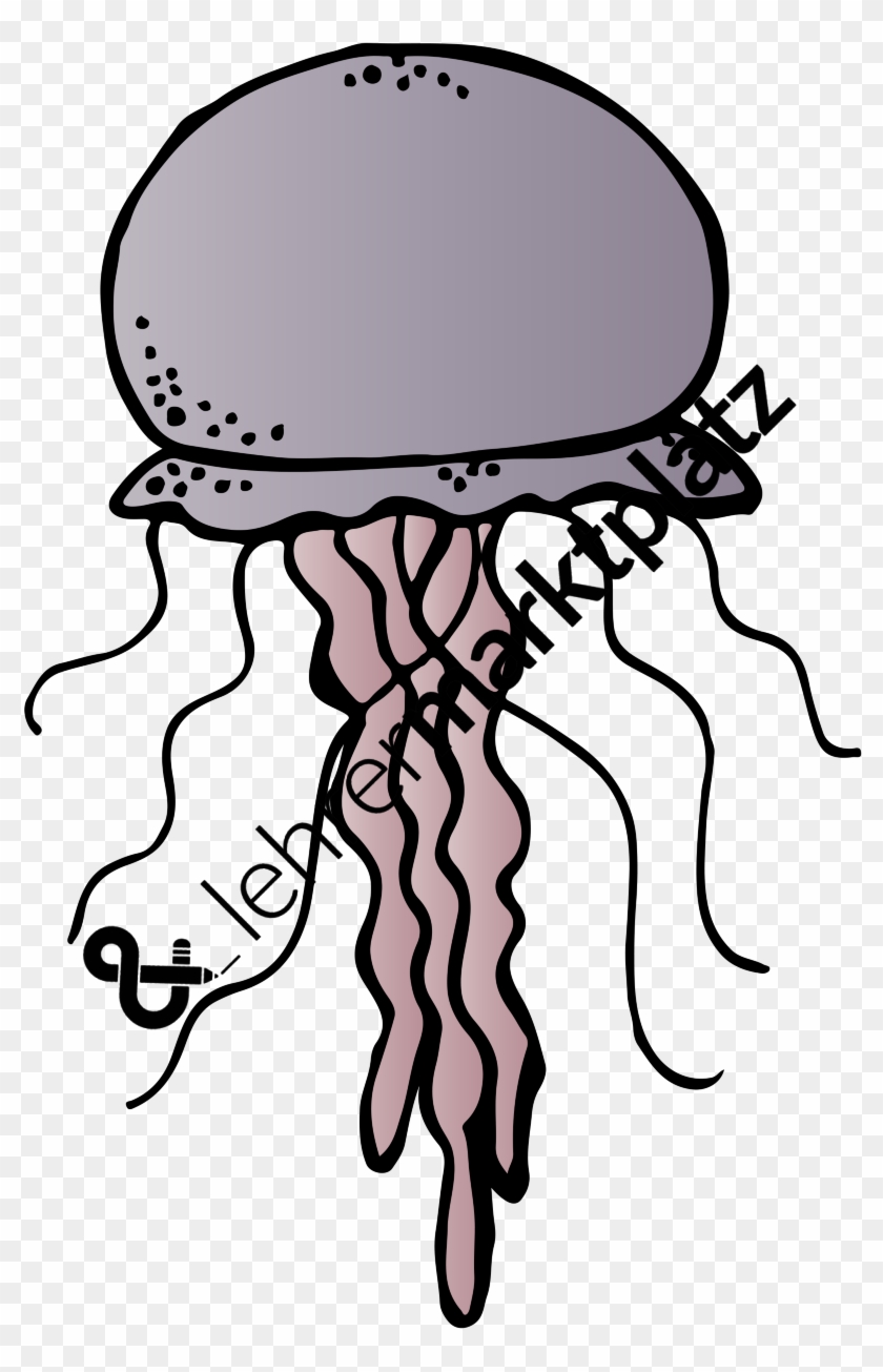 Jellyfish Clipart Melonheadz - Illustration - Png Download