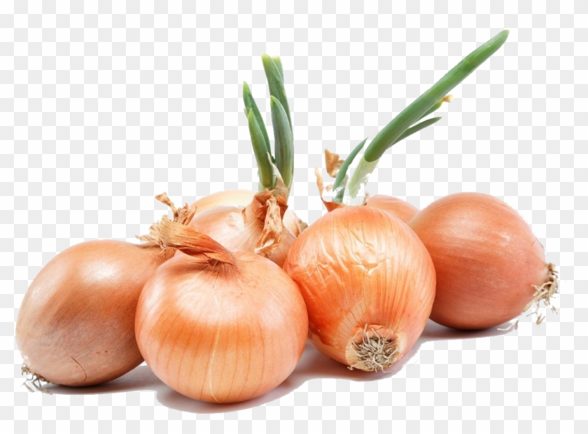 Svg Transparent Download Ubs Dress Code On Emaze Breath - Benefits Of Onion Clipart