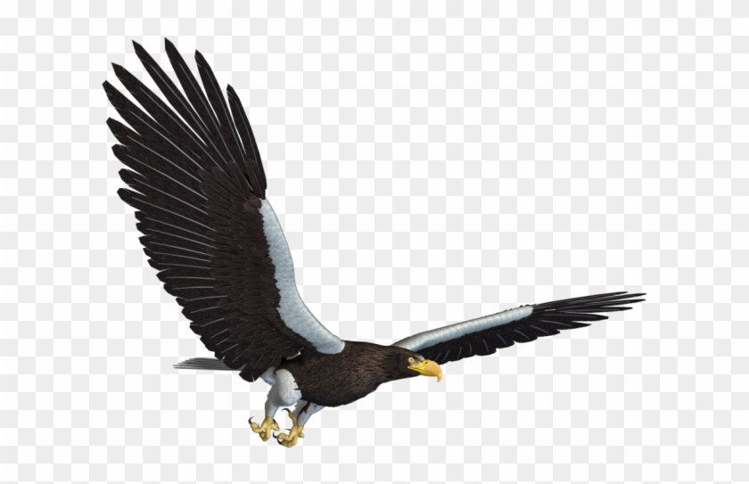 Eagle Png - Flying Eagle Jpg Clipart
