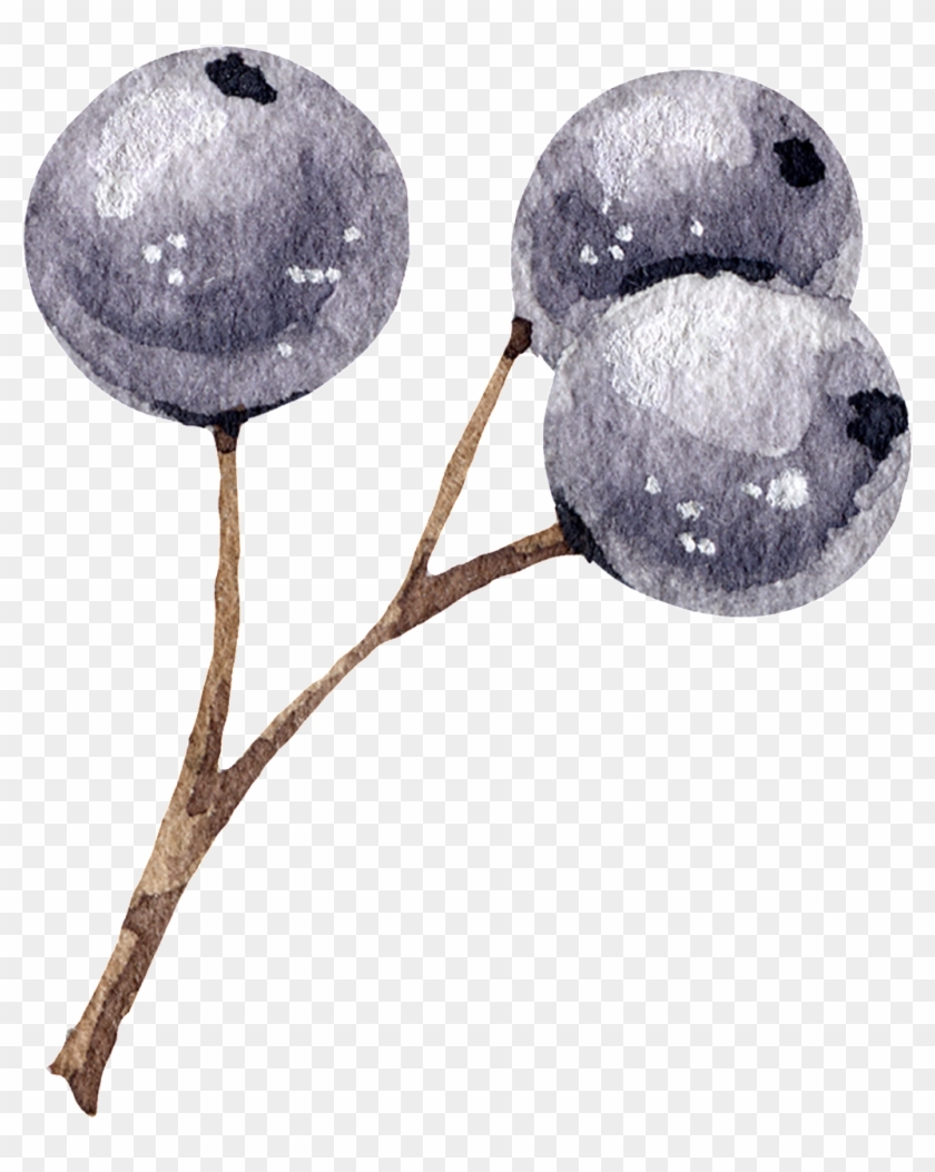 Blueberry , Png Download Clipart #2971588