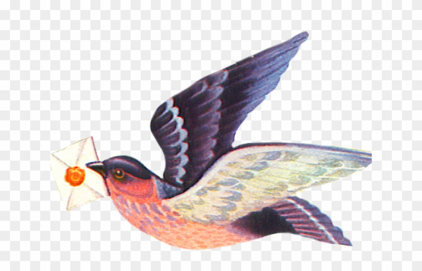 Flying Bird Clipart Bird Png - Phasianidae Transparent Png #2974307