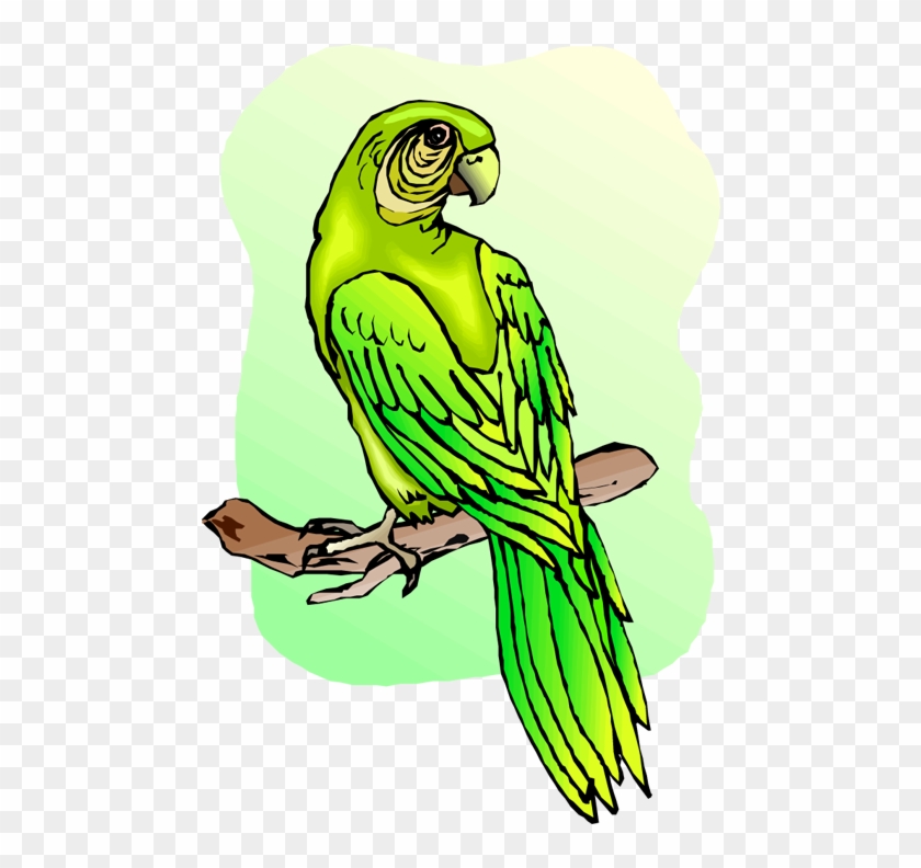 Free - Macaw Clipart #2974313