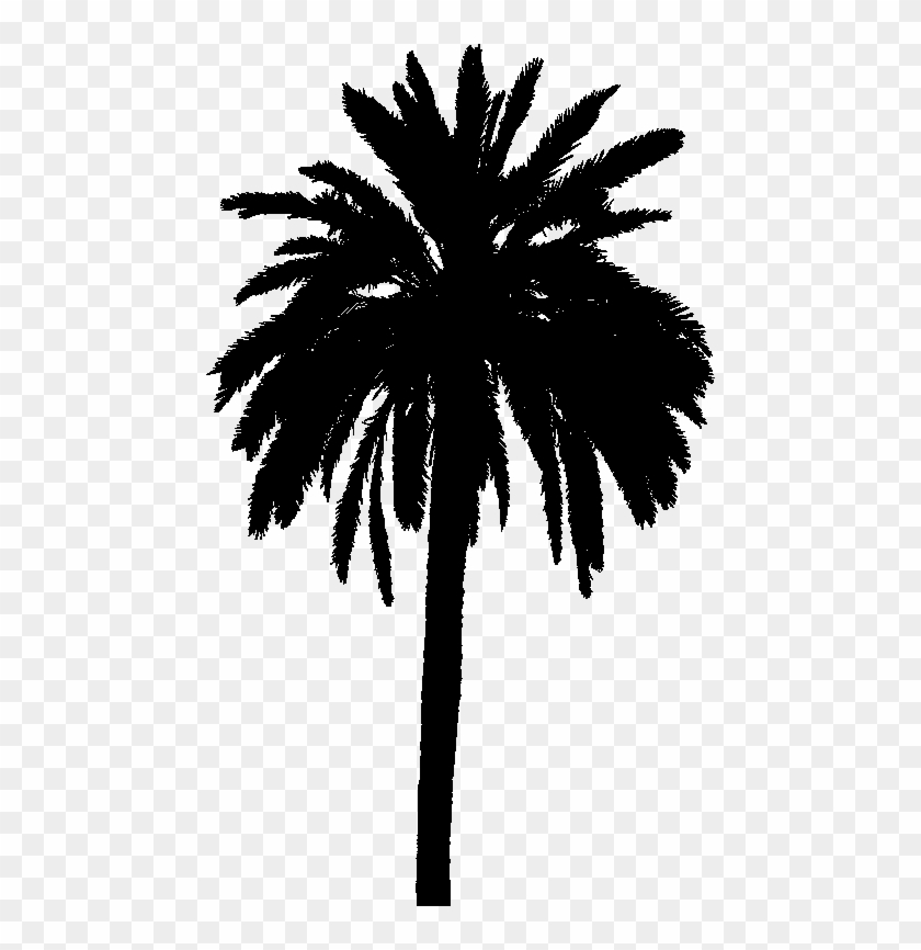 Input Detailed Palm Tree Silhouette Clipart #2975962