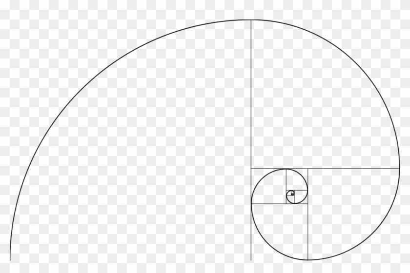 320 × 198 Pixels - Spirala Fibonacciego Clipart