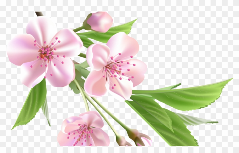 Png Format Images Of Flowers Clipart
