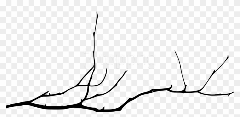 Free Png Simple Tree Branch Png - Bare Tree Branch Png Clipart #2980703