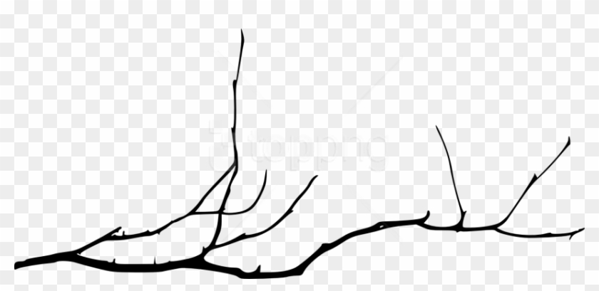 Free Png Simple Tree Branch Png - Bare Tree Branch Png Clipart