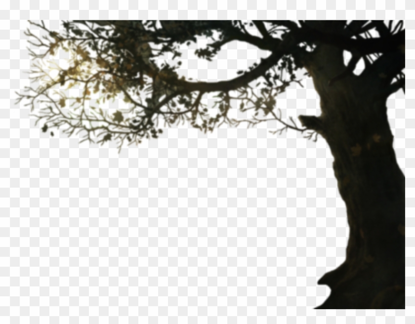 Tree With Branches Png Clipart #2980840