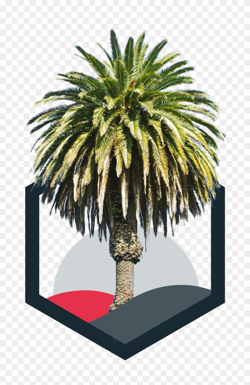 Palm Clipart #2981376