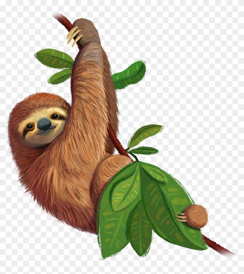 Register Now - Three-toed Sloth Clipart #2981680