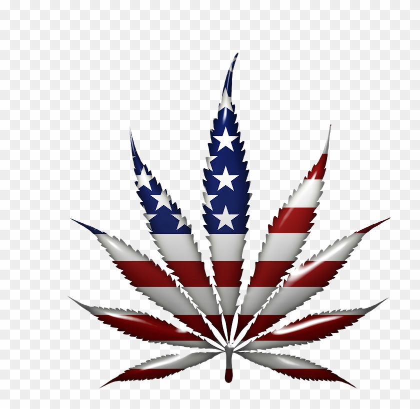 "local And State Authorities In Texas Spent An Estimated - Red White And Blue Weed Clipart #2982532