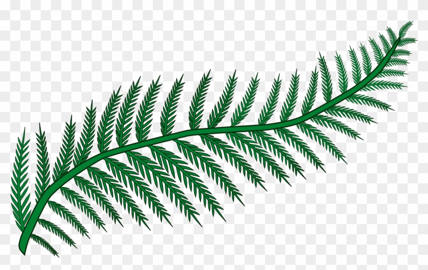 Branch Fern Forest Frond Plant Png Image - Transparent Background Fern Clipart #2983950