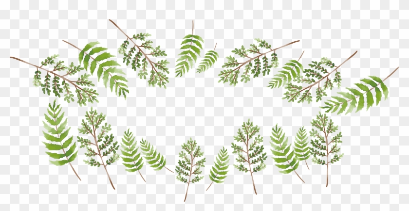 Branch Green Painting - Fern Clipart #2984149