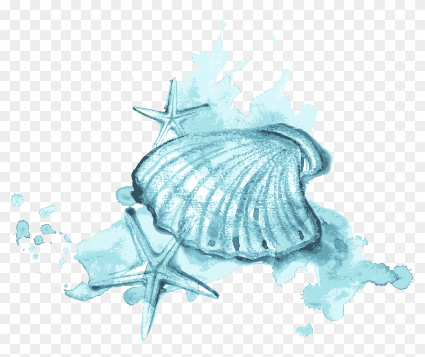 Painting Illustration Blue - Watercolor Painting On Shells Galaxy Clipart #2984202