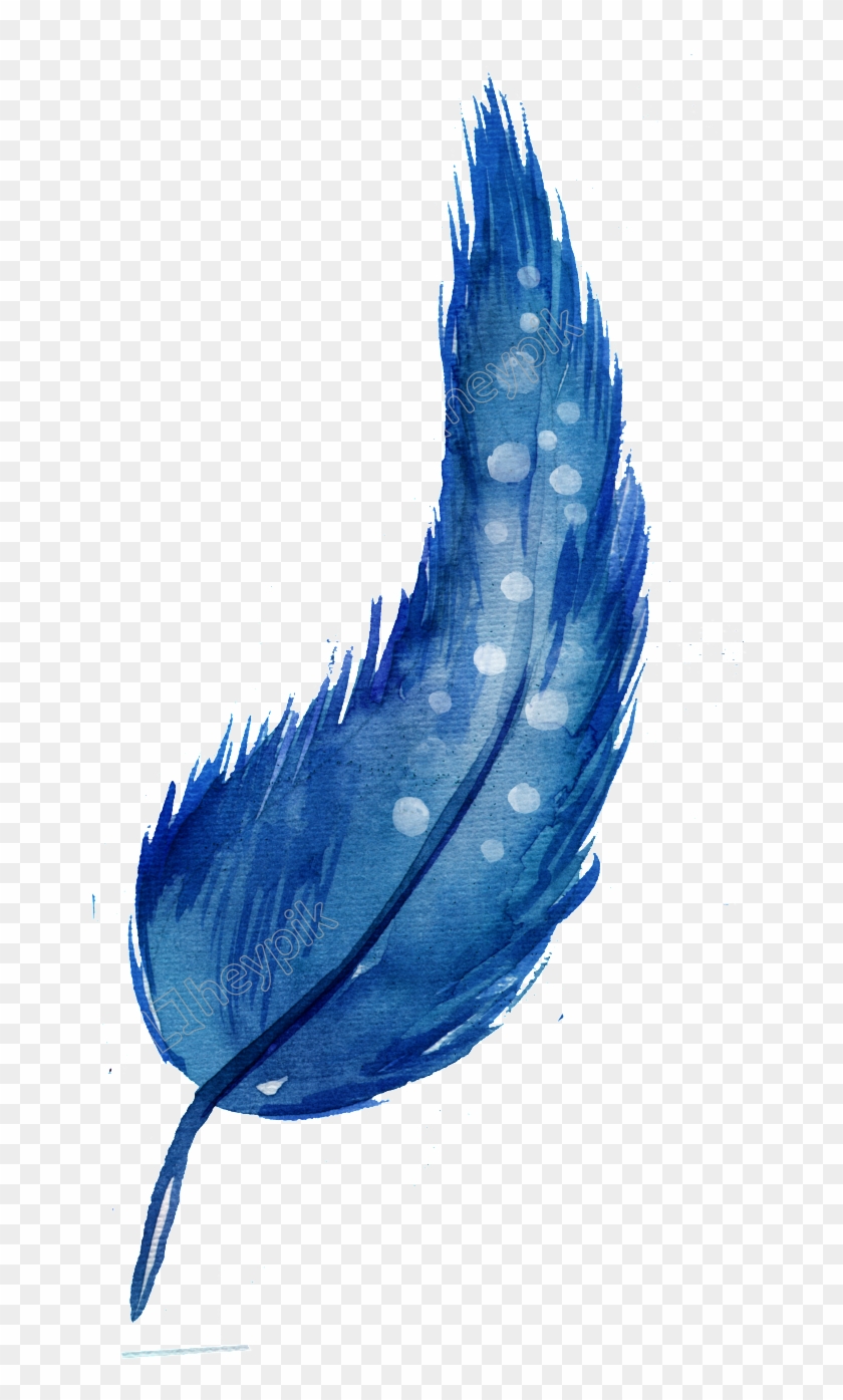 Blue Feather Png - Feather Clipart #2984321