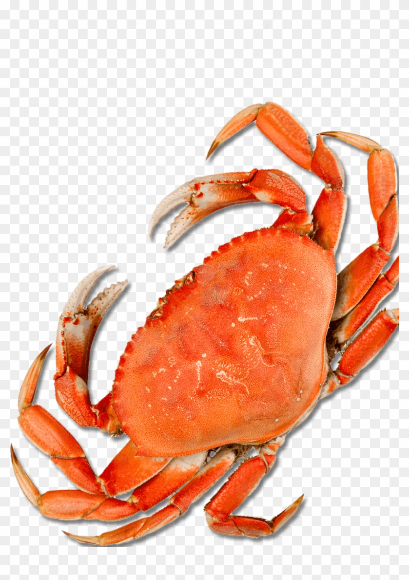 Crab Legs Dinner Png - Top Down View Of A Crab Clipart #2984886