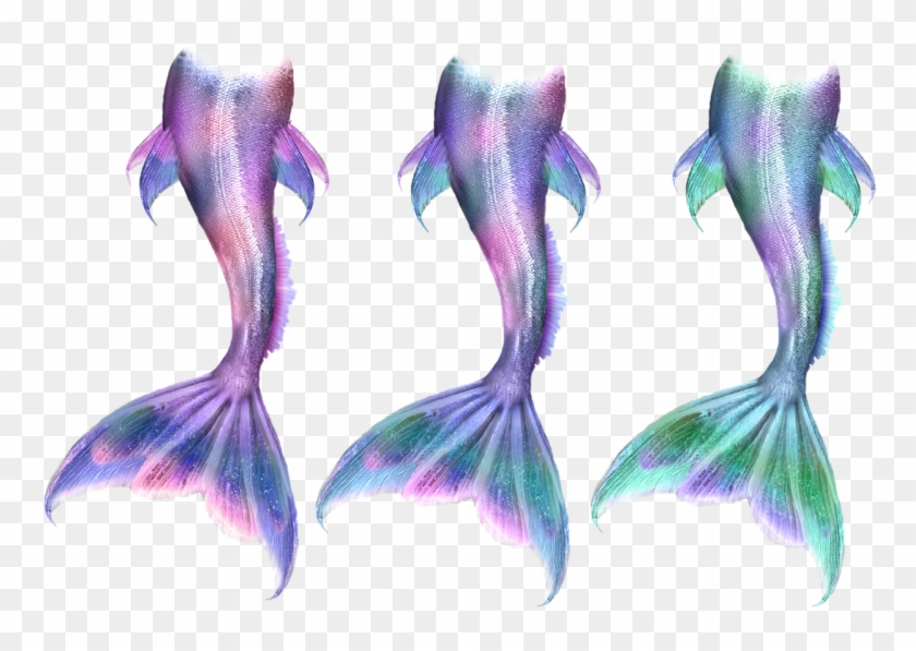 Mermaid Tail Drawing Png Clipart