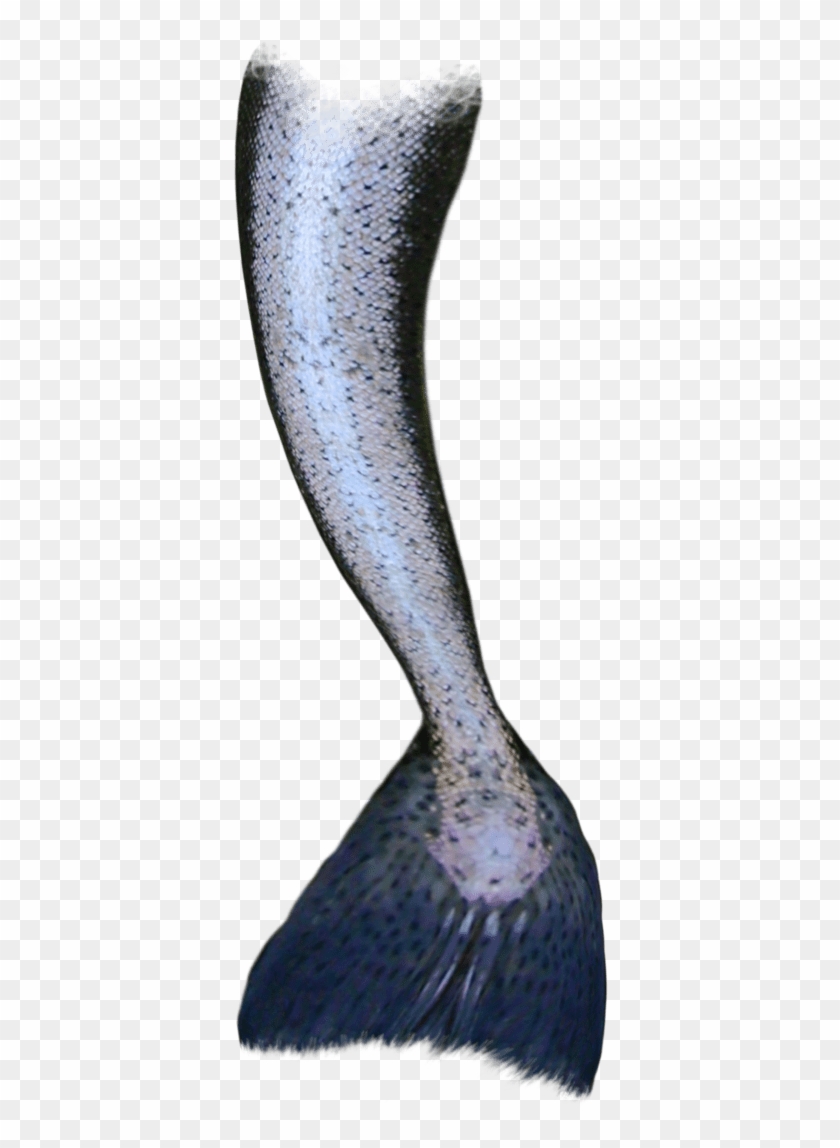Transparent Mermaid Tail - Transparent Background Mermaid Tail Transparent Clipart